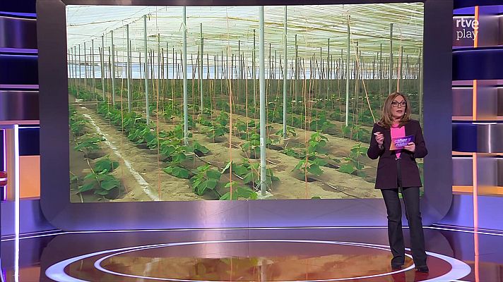 Saber y ganar - Saber y ganar - 24/03/26