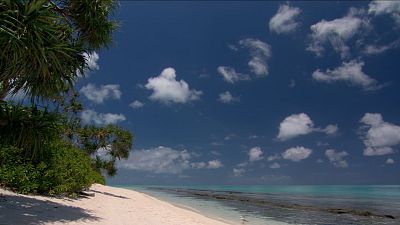 Lugares ind�mitos. La gran barrera de coral - Episodio 2: Verano - Lugares ind�mitos. La gran barrera de coral | Ver