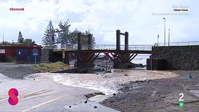 Somos 8 - 24/03/2026