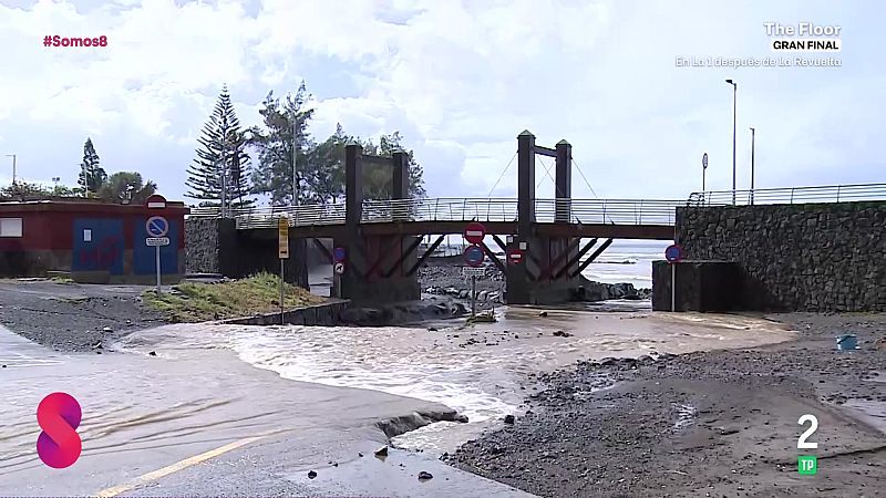 Somos 8 - 24/03/2026 - Somos 8 | Ver