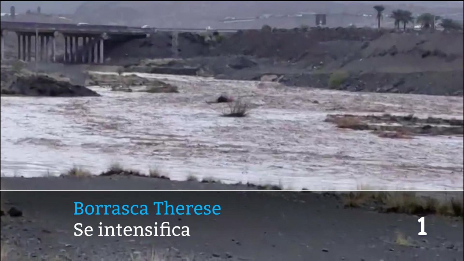 Avance informativo 11:00 - 24/03/2026 | Ver