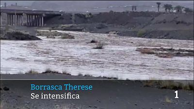 Avance informativo 11:00 - 24/03/2026