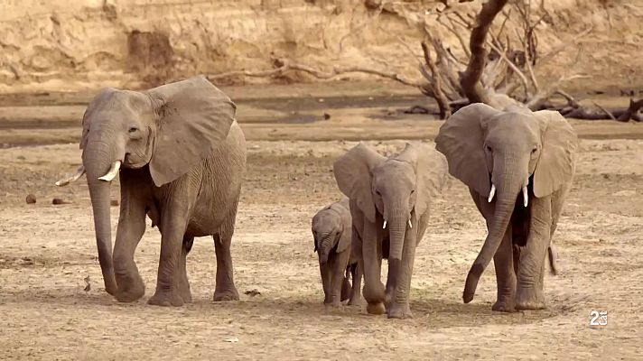 Som Documentals - Històries de Zàmbia, Mites d'Àfrica