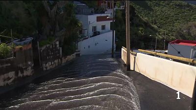 Avance informativo 11:00 - 25/03/2026