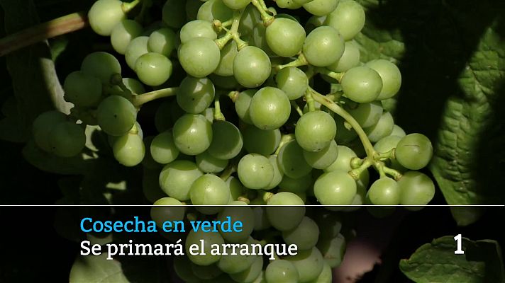 Informativo Telerioja - Informativo Telerioja - 25/03/26