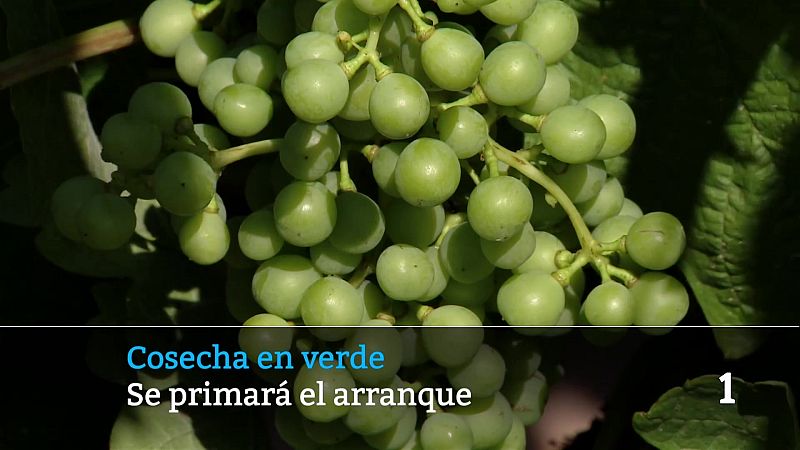 Informativo Telerioja - 25/03/26 | Ver