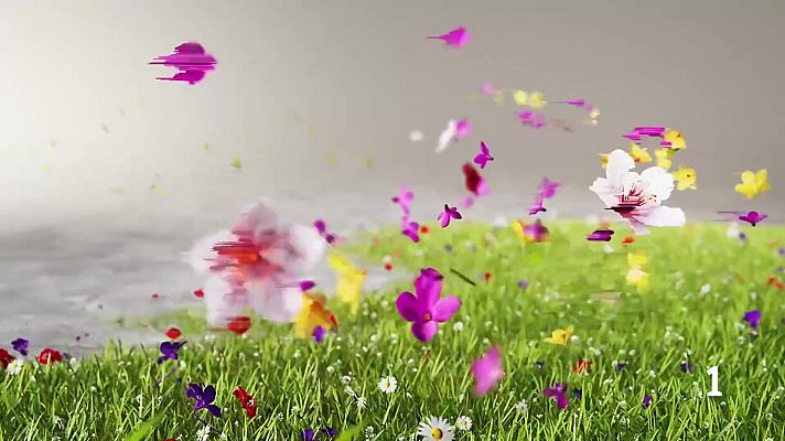 Noticias Murcia - El Tiempo en la Region de Murcia - 25/03/2026