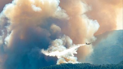 Tres anys despr�s de l'incendi de Viver encara es noten els efectes a les muntanyes de l'Alt Millars - L'informatiu - Comunitat Valenciana | Ver