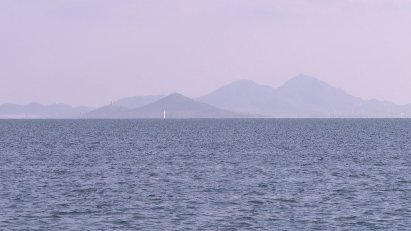 Roban un millar de ostras del Mar Menor - Noticias Murcia | Ver