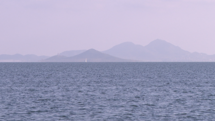 Noticias Murcia - Roban un millar de ostras del Mar Menor