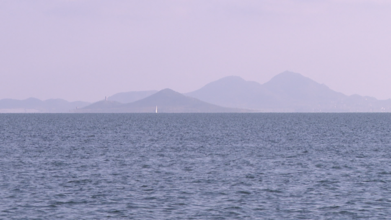 Roban un millar de ostras del Mar Menor - Noticias Murcia | Ver