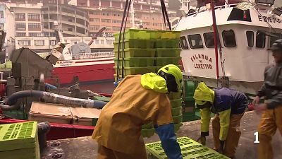 La parada de la flota puede afectar a la cadena de suministro de pescado en los mercados vascos | RTVE Play-Ver ahora