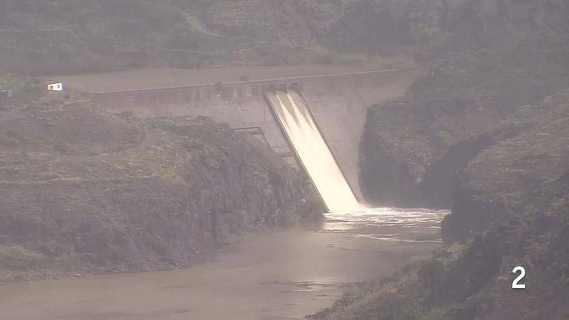 Telecanarias Tarde - 25/03/2026 | Ver