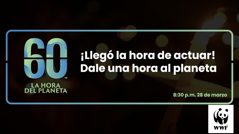 La Hora del Planeta | Ver