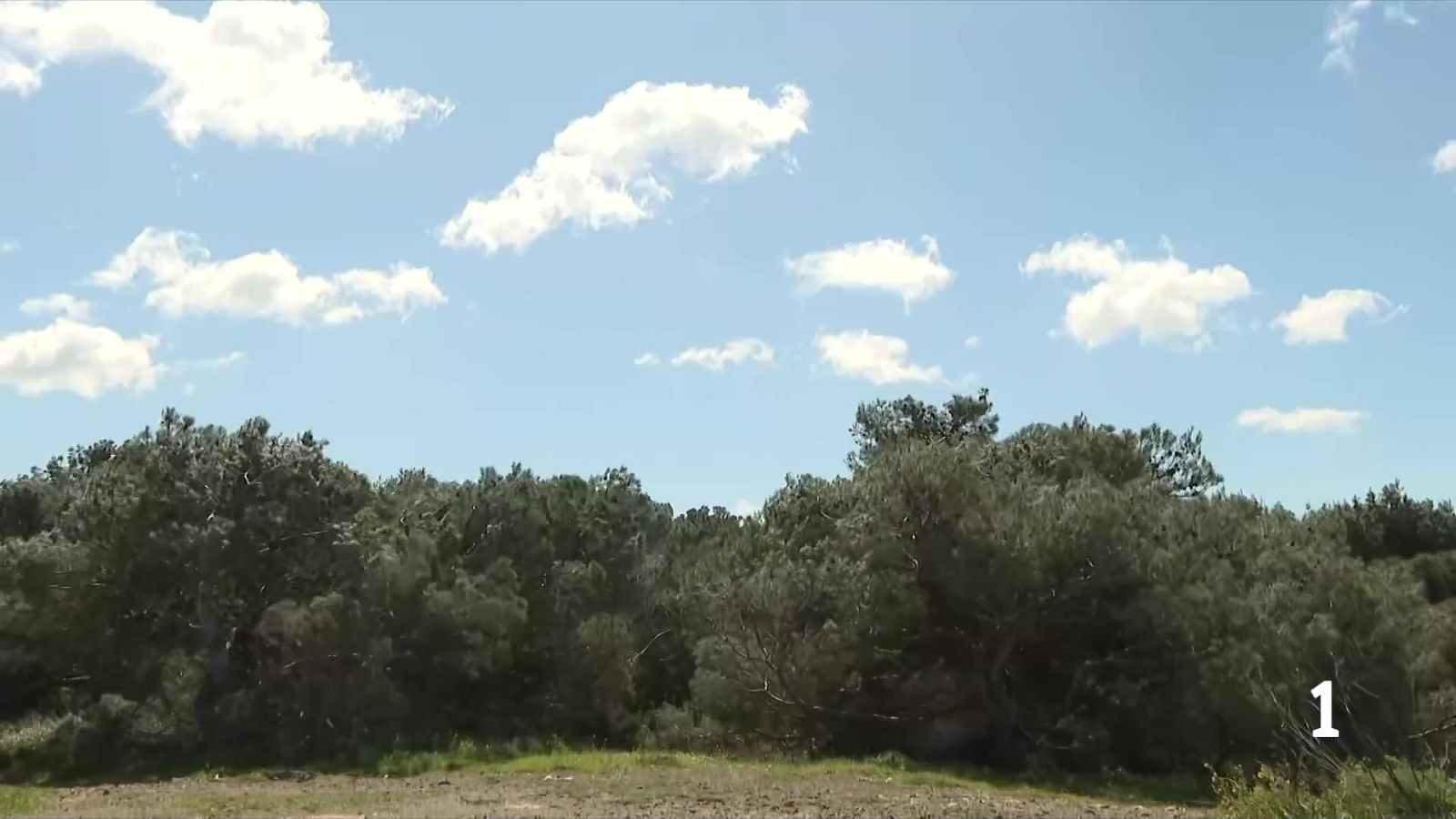 La tramuntana bufa amb força a l'Alt Empordà, les Terres de l'Ebre i les cotes altes del Pirineu