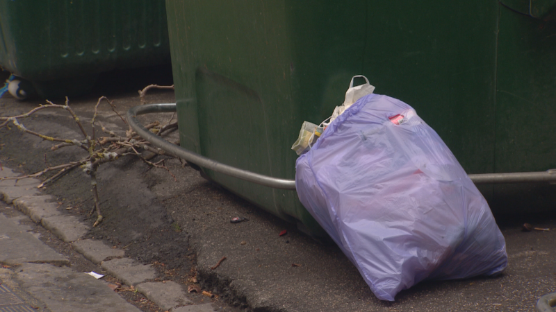 Nuevas medidas para combatir el aumento del bolseo en Pamplona - Telenavarra | Ver