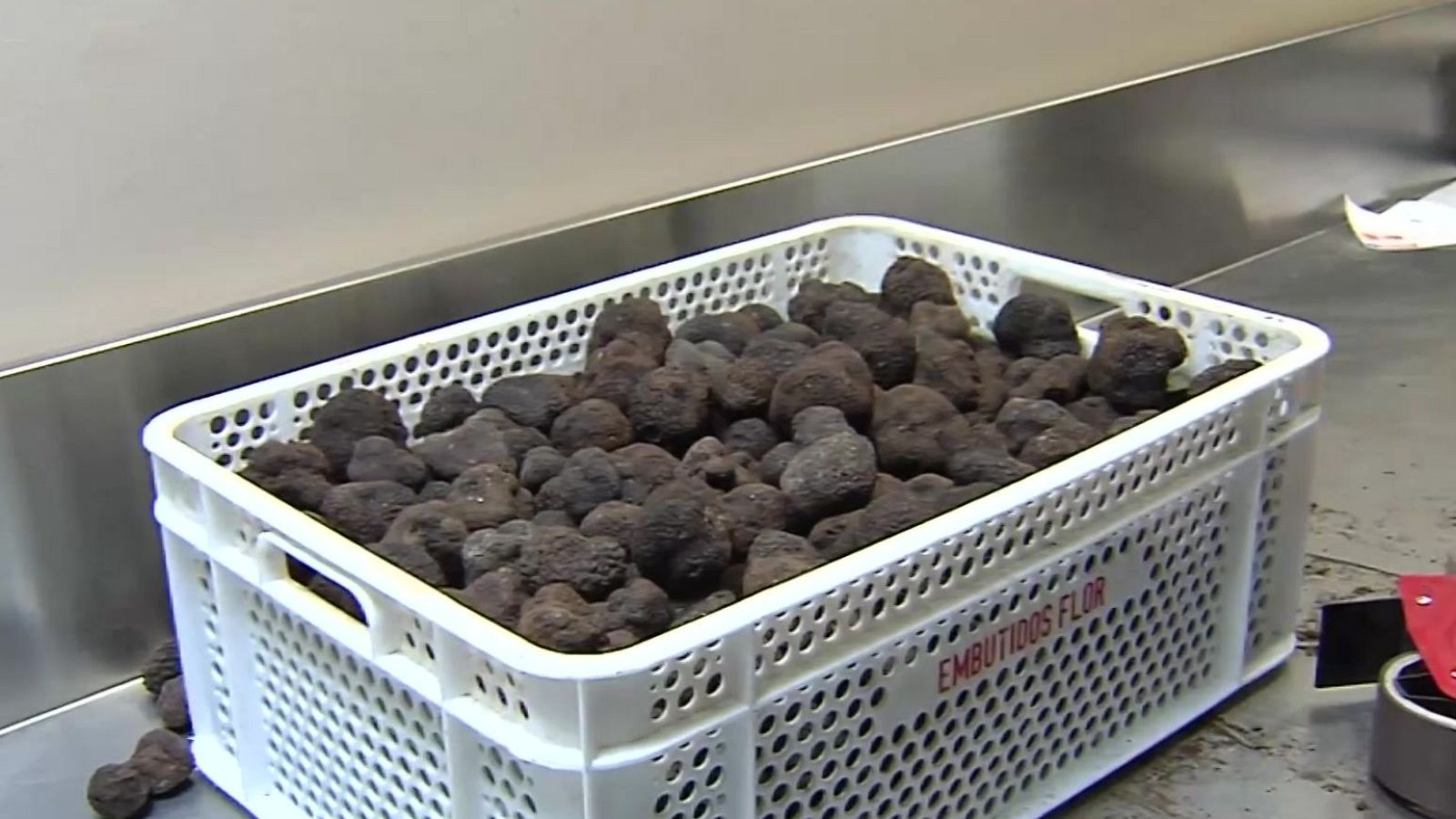 Teruel es la cuna mundial de la trufa - Noticias Aragón | Ver