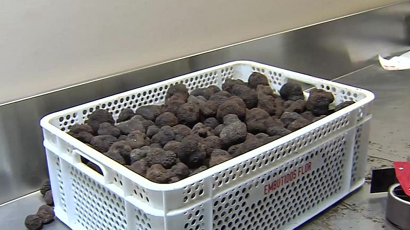 Teruel es la cuna mundial de la trufa - Noticias Arag�n | Ver