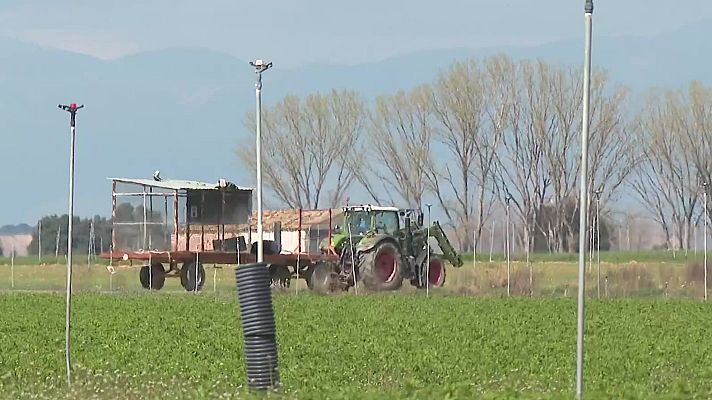 Noticias Aragón - Radiografía del sector primario: ¿Qué retos afronta el campo?