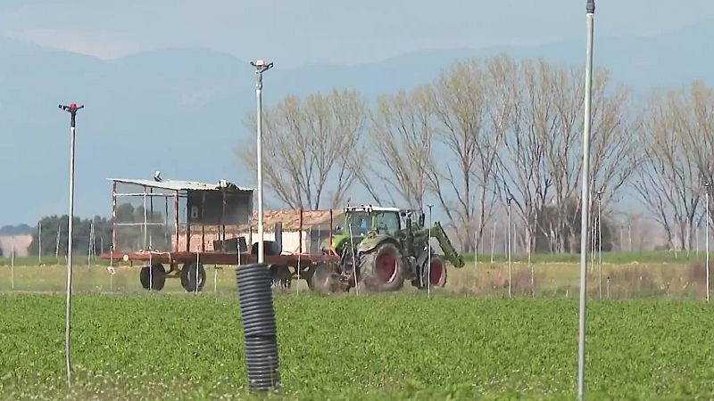Radiografía del sector primario: ¿Qué retos afronta el campo? - Noticias Aragón | Ver