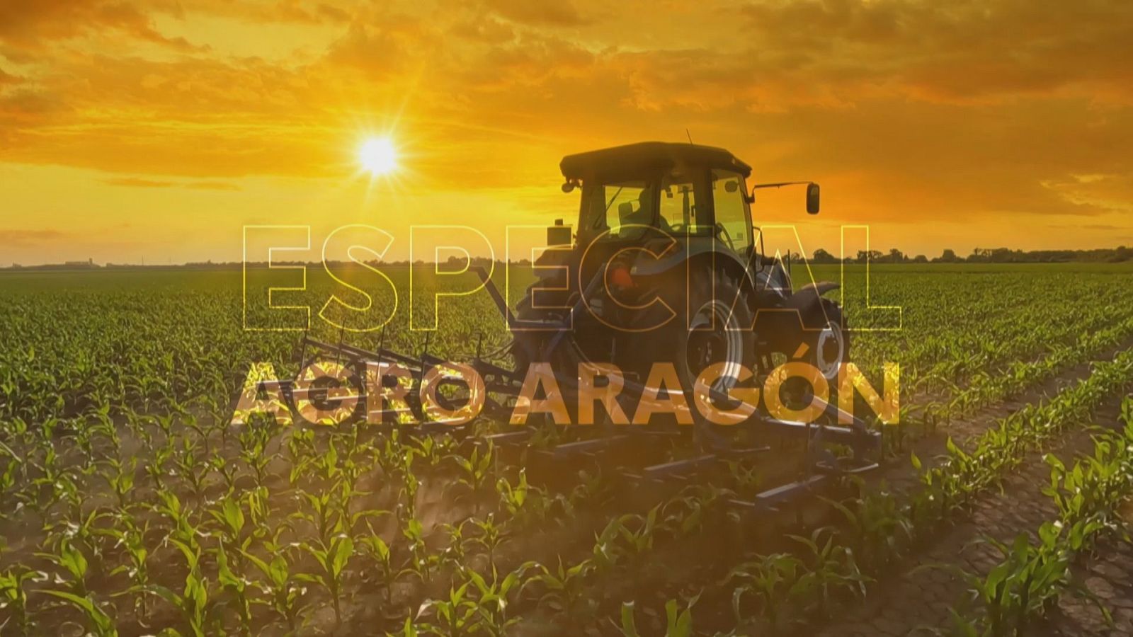 Noticias Aragón 2 - 26/03/26 - Ver ahora