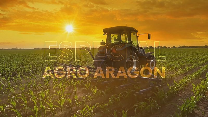 Noticias Aragón 2 - 26/03/26 - Ver ahora