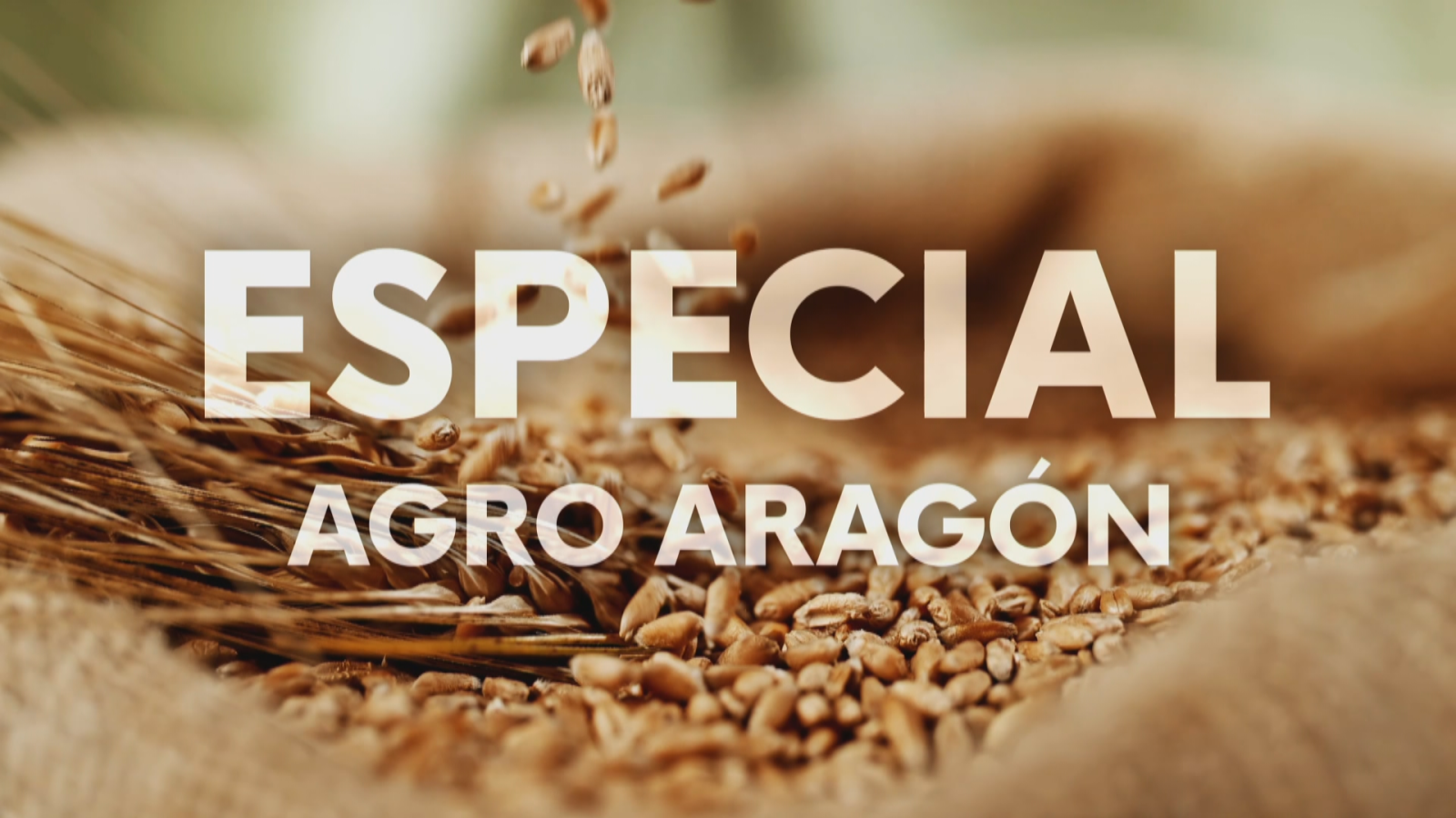 Noticias Aragón - 26/03/26 - Ver ahora