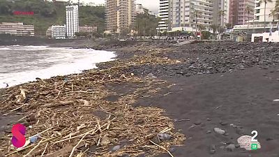 Somos 8 - 26/03/2026