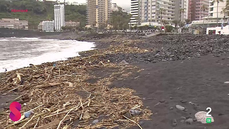 Somos 8 - 26/03/2026 - Somos 8 | Ver