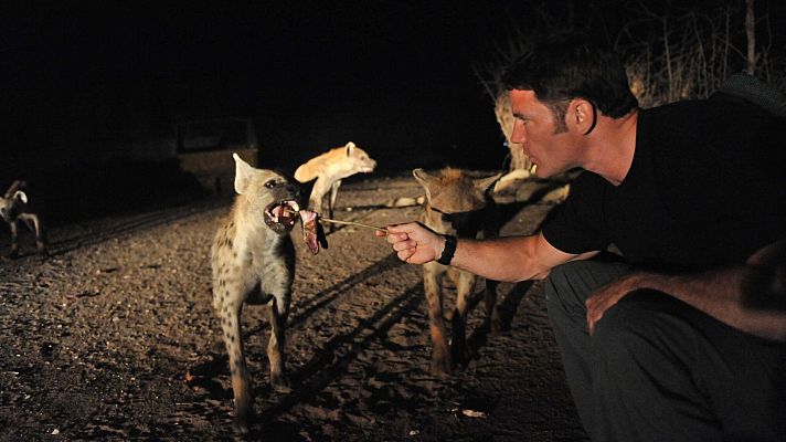 Depredadores letales - Depredadores supremos