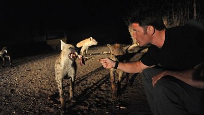 Depredadores letales - Episodio 7: Depredadores supremos - Depredadores letales | Ver