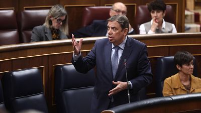 Planas defiende el decreto anticrisis: "Protege a familias, empresas y al sector de la agricultura, pesca y alimentaci�n"