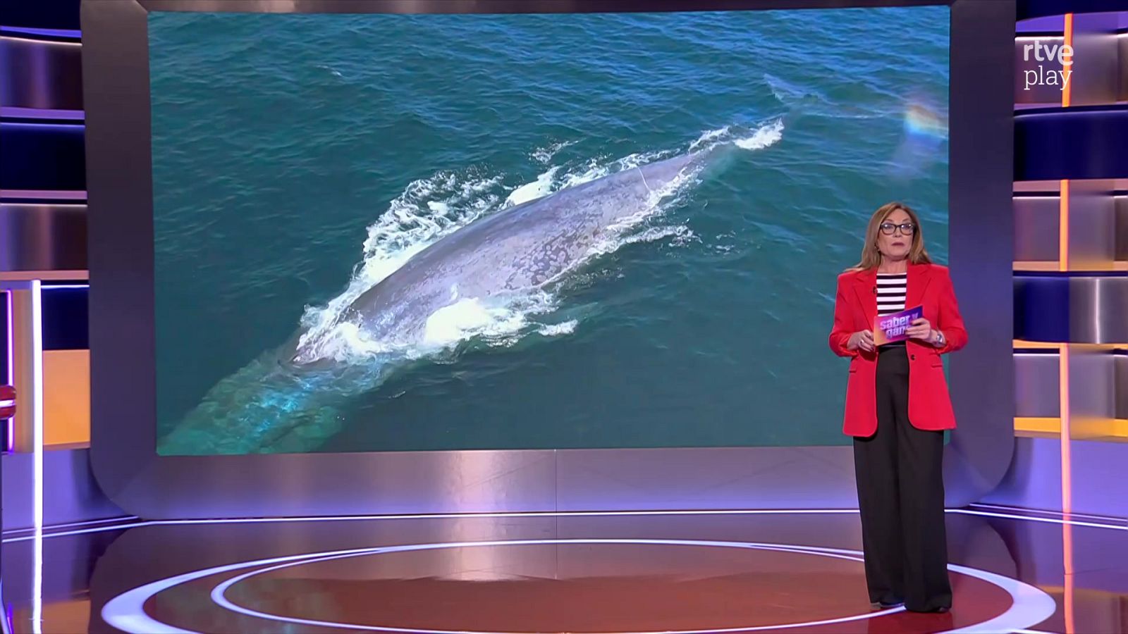 Saber y ganar - 27/03/26 - Saber y ganar | Ver