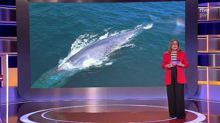 Saber y ganar - Saber y ganar - 27/03/26