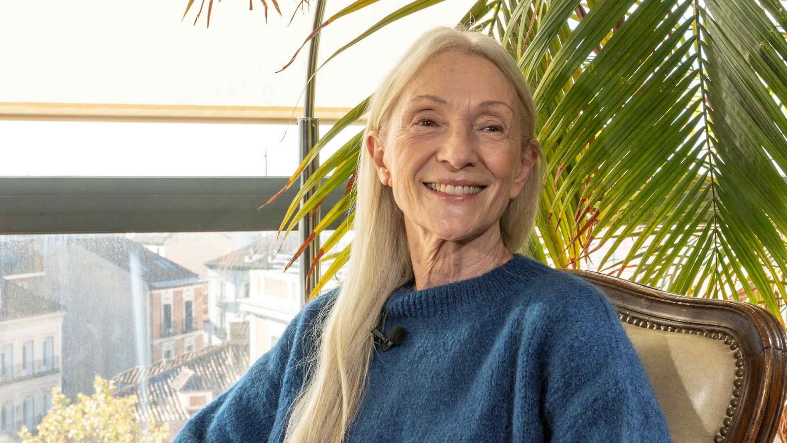 Plano general - Pino Montesdeoca - Plano general | Ver