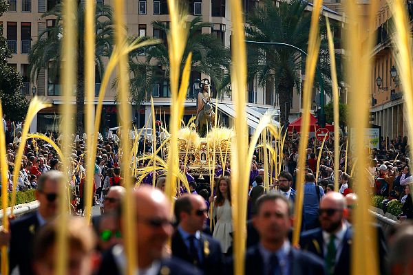 Telediario Fin de Semana - Así se elabora la palma blanca de Elche para el Domingo de Ramos
