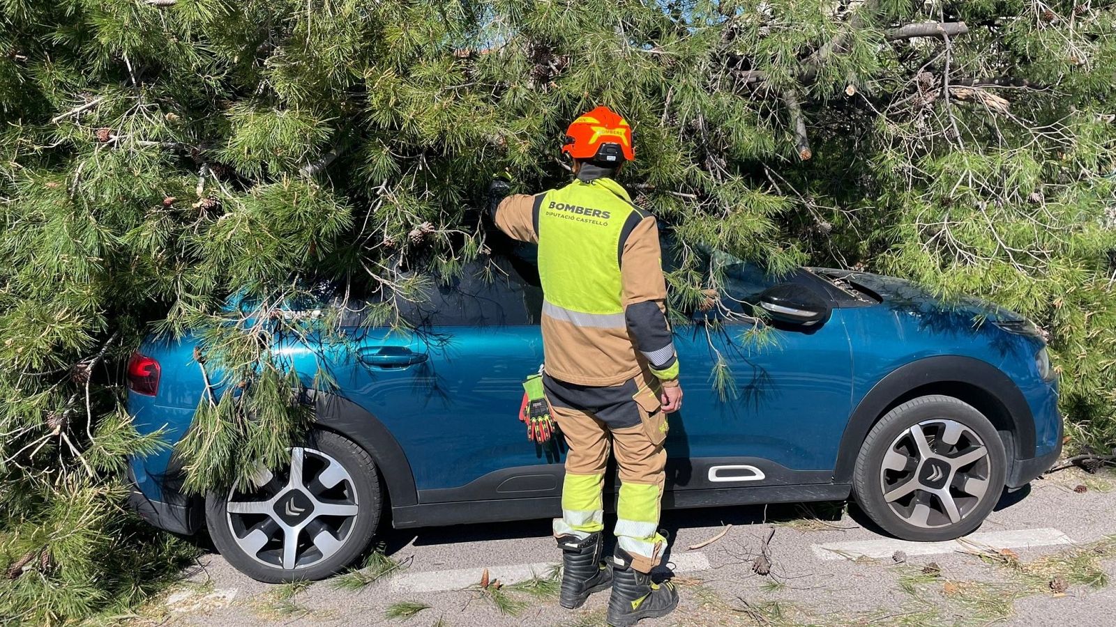 Informativo 24 horas - 14h - 29/03/26 - Fin de semana 24h | Ver