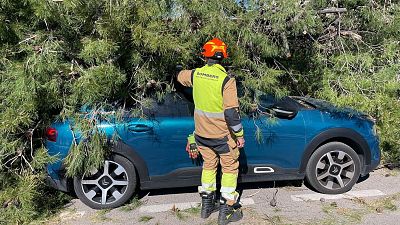 Informativo 24 horas - 14h - 29/03/26