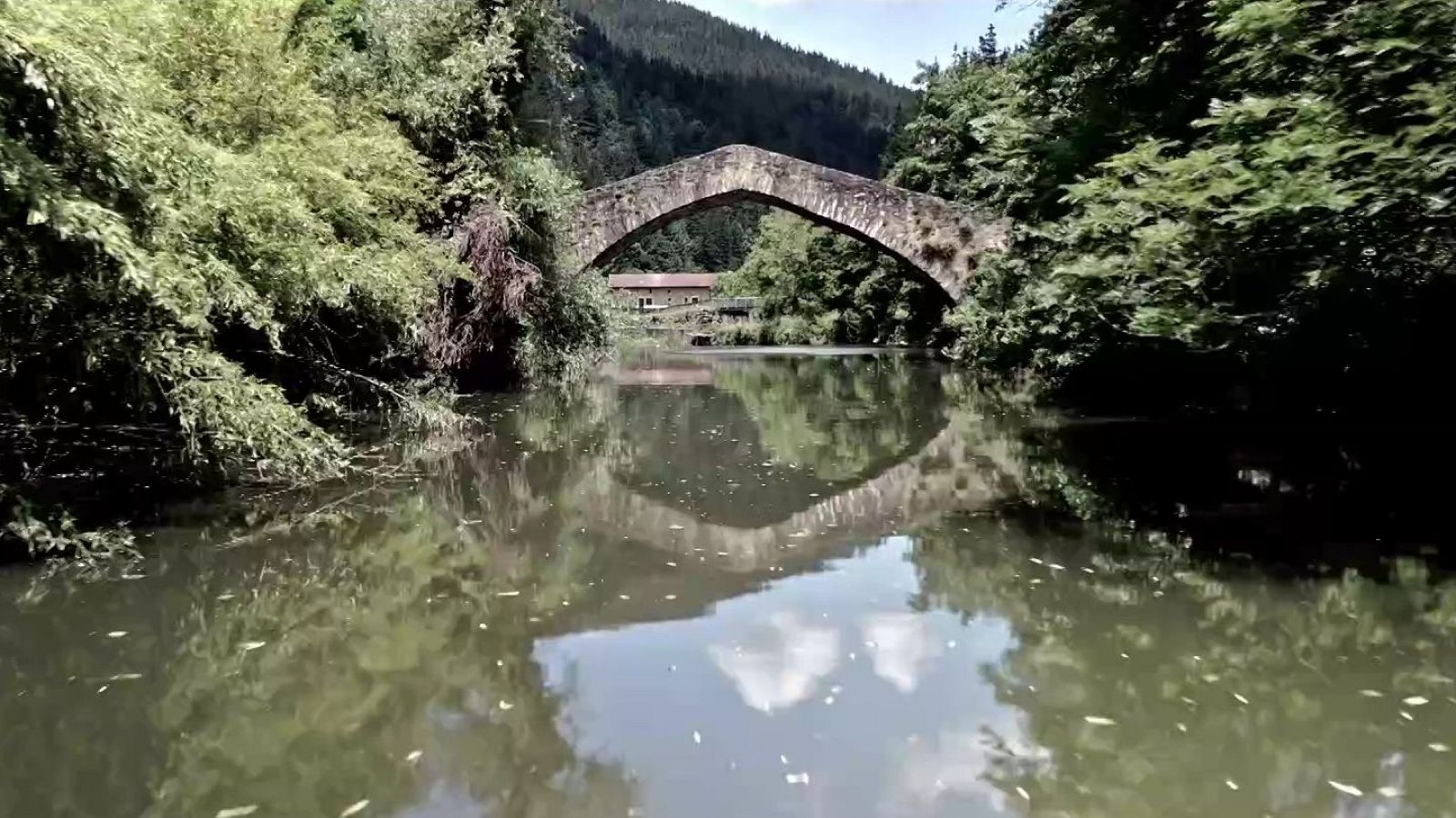 Ríos - Nervión - Ríos | Ver