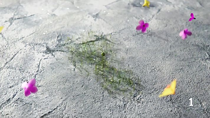 Noticias Murcia - El Tiempo en la Region de Murcia - 30/03/2026