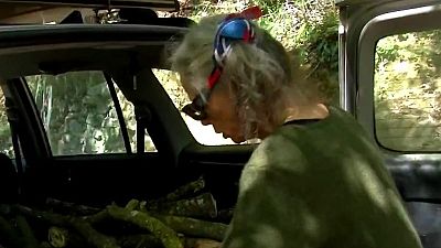 ¿Cómo es vivir en una cabaña?