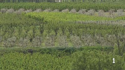 El turisme rural voreja el 90% d'ocupació aquesta Setmana Santa