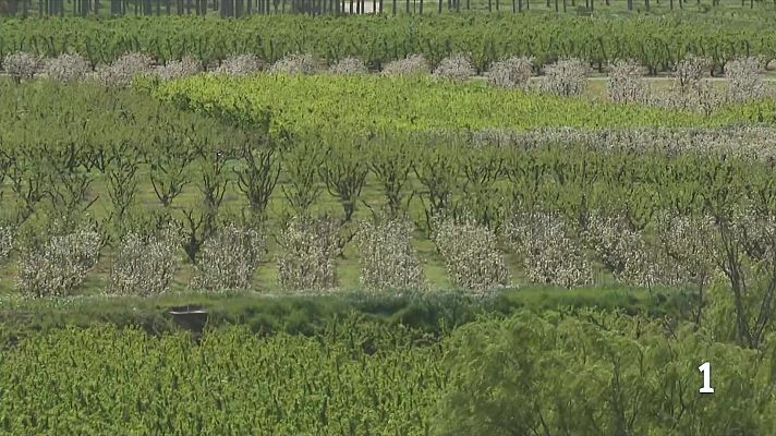 L'Informatiu - El turisme rural voreja el 90% d'ocupació aquesta Setmana Santa