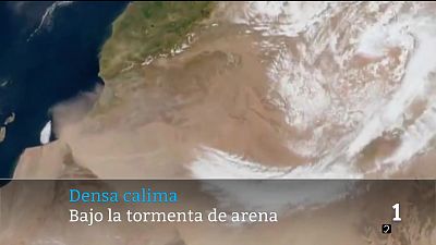 Telecanarias - 31/03/2026