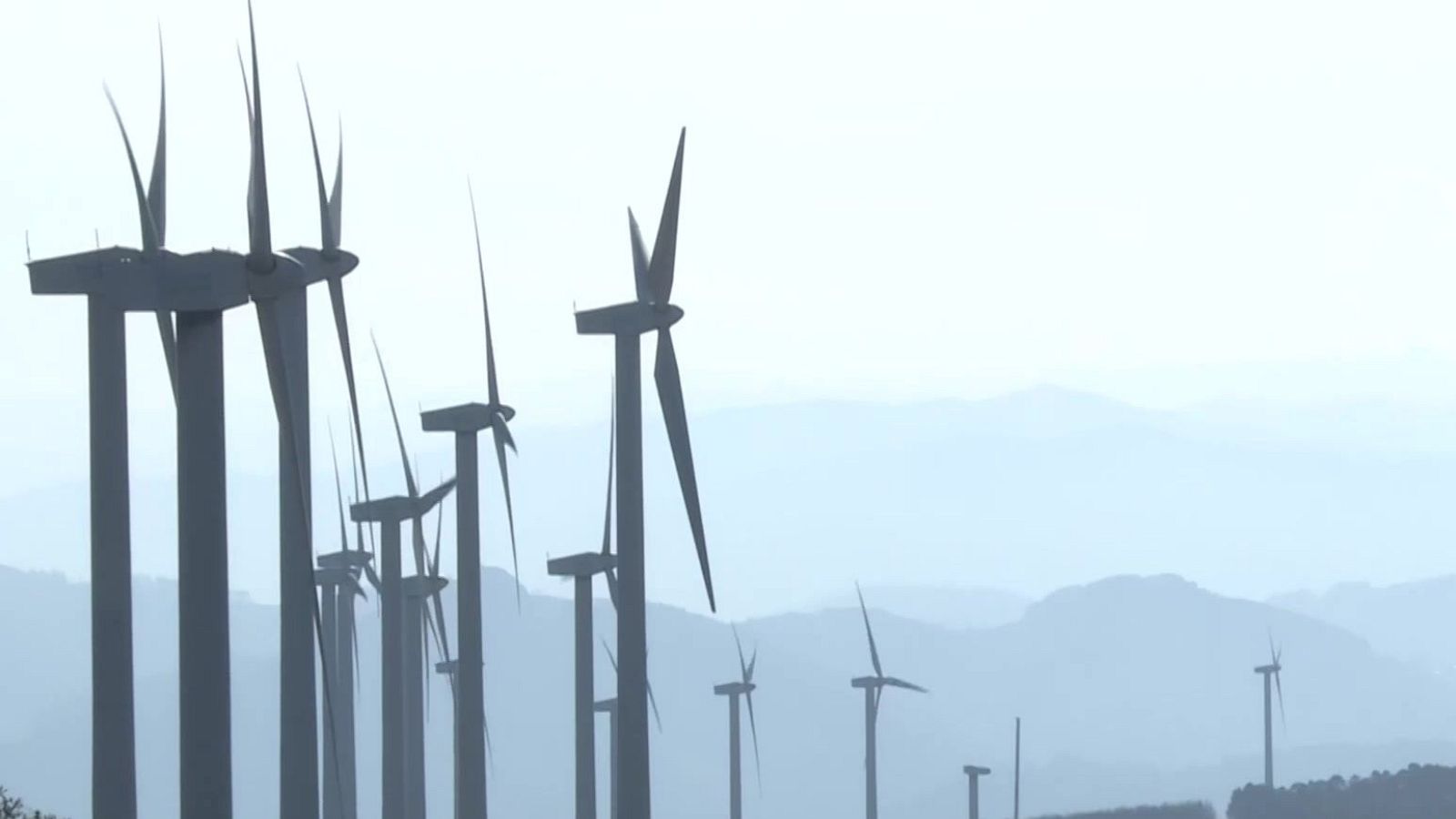 Informativo Telenorte 1 País Vasco -  31/03/2026 | RTVE Play - Ver ahora