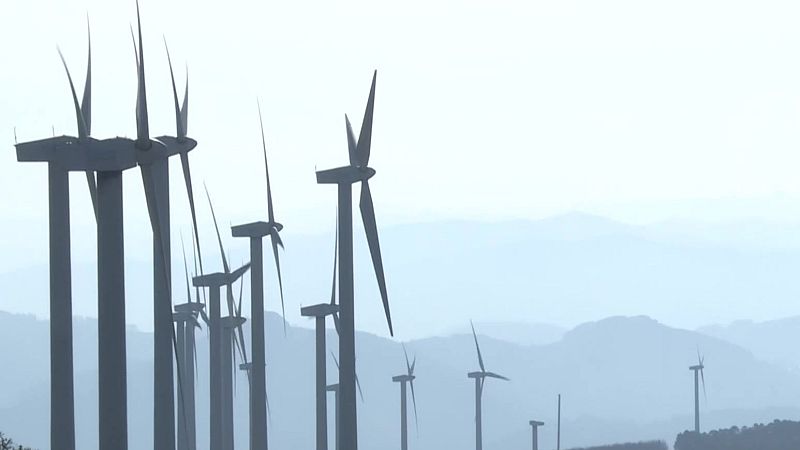 Informativo Telenorte 1 País Vasco -  31/03/2026 | RTVE Play - Ver ahora