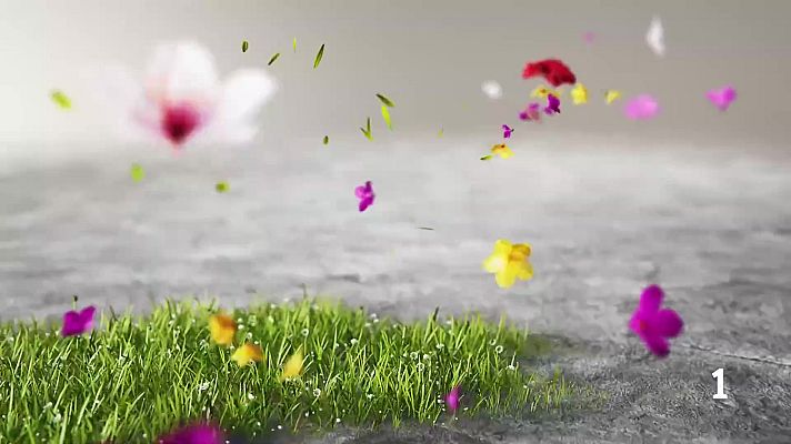 Noticias Murcia - El Tiempo en la Region de Murcia - 31/03/2026