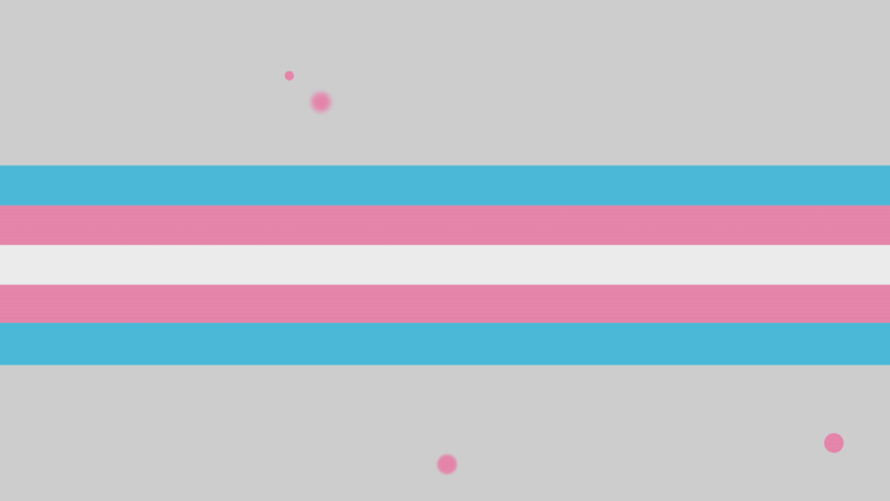 Día de la visibilidad Trans - Noticias Andalucía | Ver