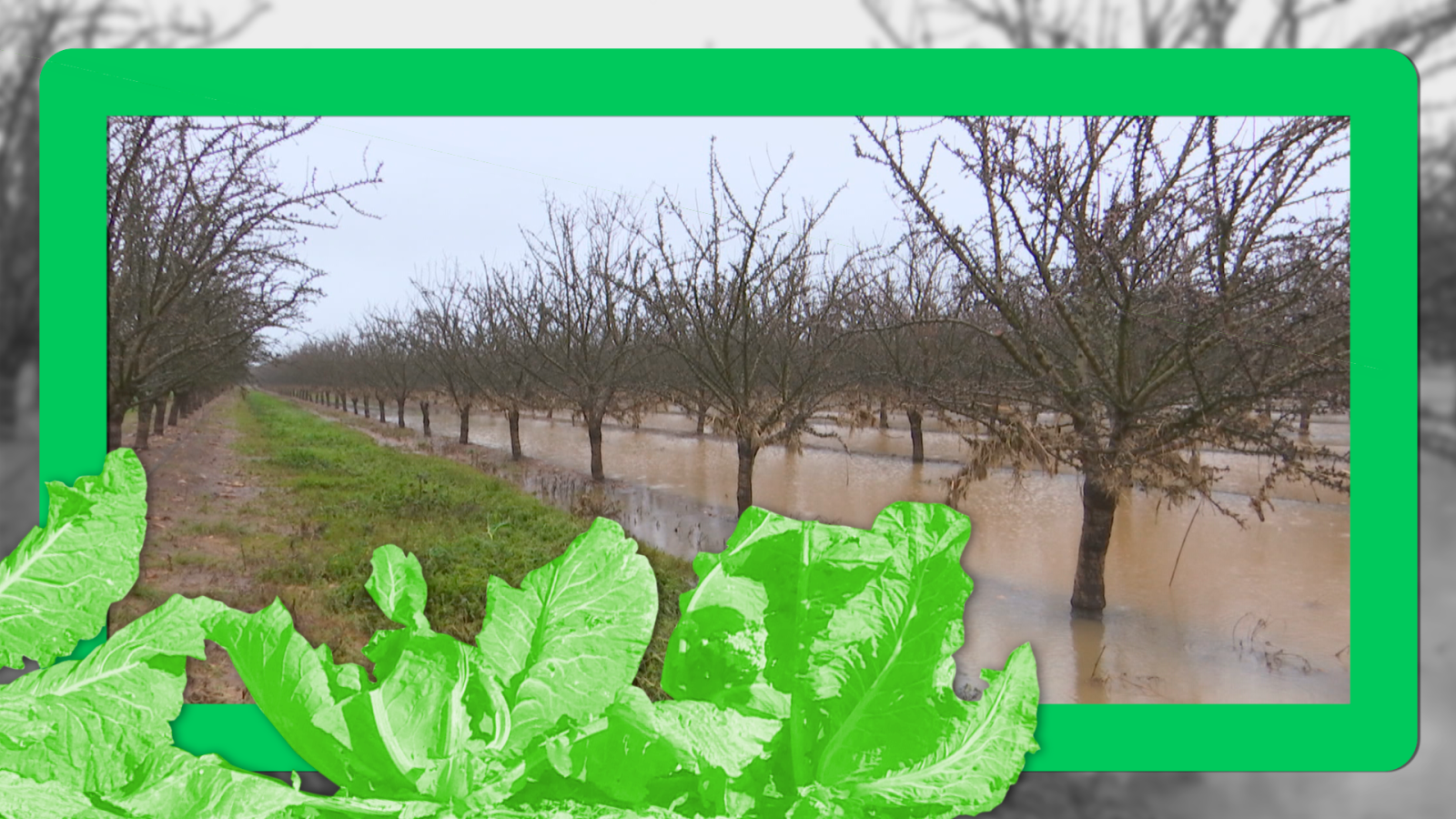 Los agricultores y ganaderos reclaman más facilidades para las ayudas del temporal - Ver ahora