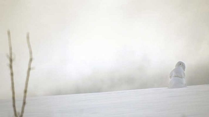 El tiempo - Bajadas de las temperaturas